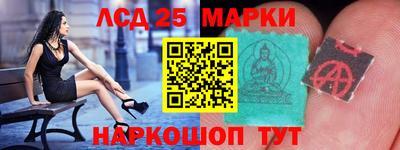 spice Кингисепп