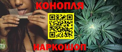 spice Кингисепп