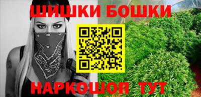 spice Кингисепп