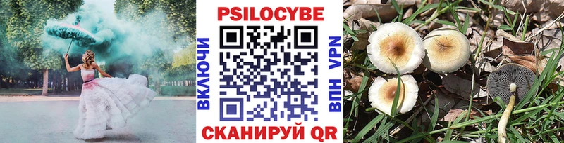 Галлюциногенные грибы ЛСД  дарнет шоп  Краснознаменск 