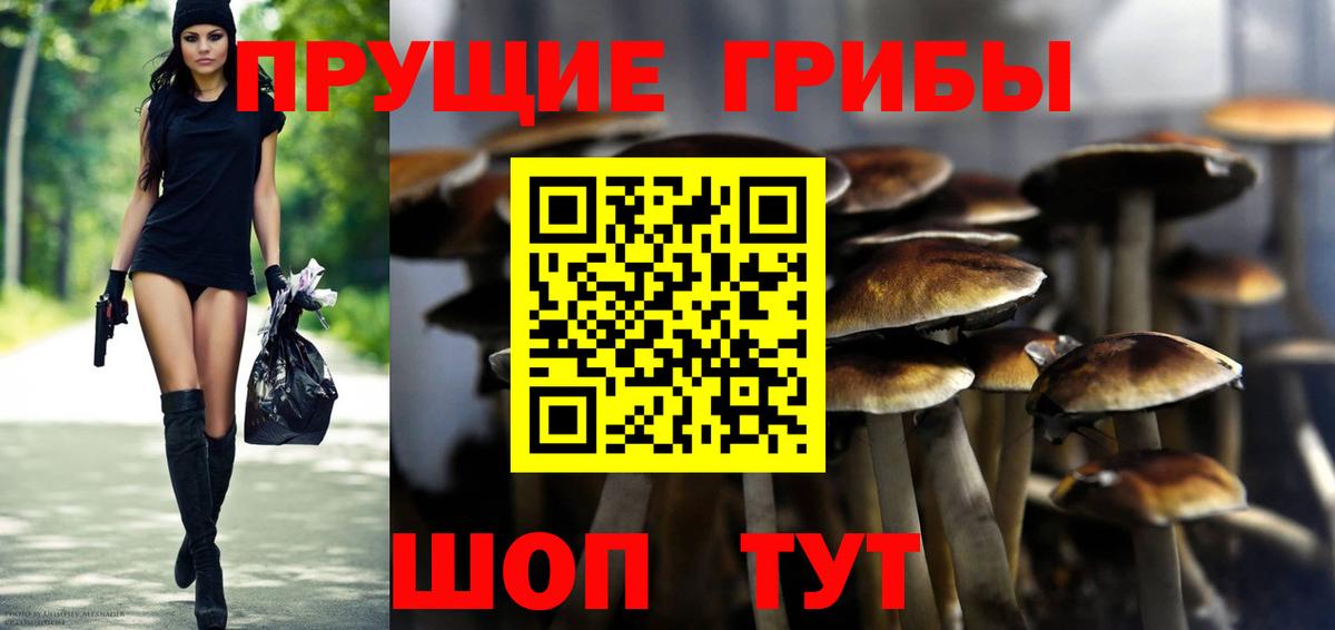 Псилоцибиновые грибы MAGIC MUSHROOMS Краснознаменск