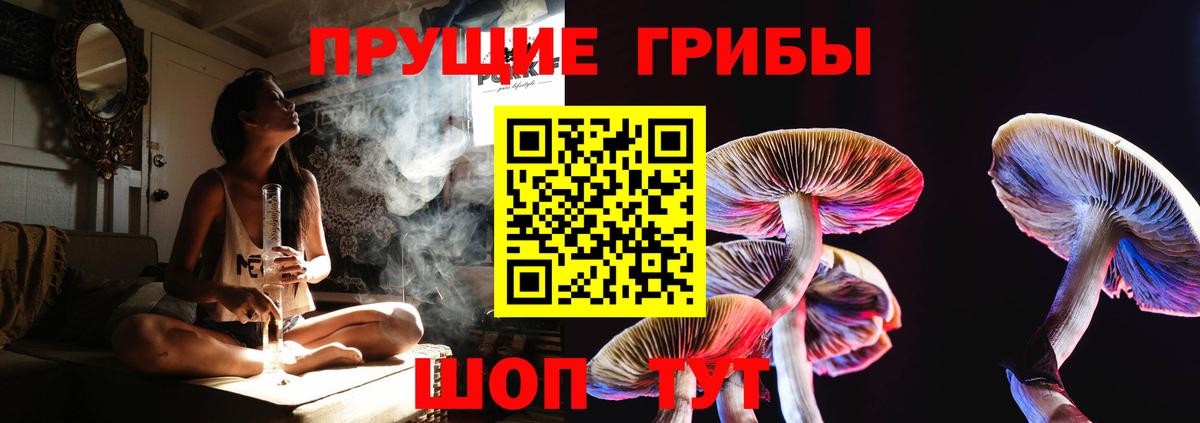 Галлюциногенные грибы Cubensis  купить наркотики цена  Краснознаменск  Вход с VPN 